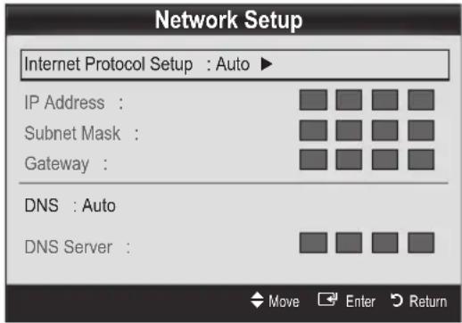 Network Setup Internet Protocol Setup : Auto ▶ IP Address : Subnet Mask : Gateway : DNS : Auto DNS Server :