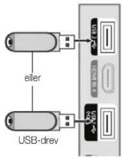 eller USB-drev