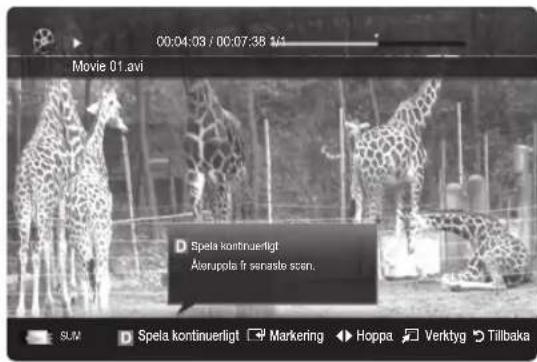 00:04:03 / 00:07:38 1/2 Movie 01.avi Spela kontinuerligt Åsrupola fr senaste scen. SUM Spela kontinuerligt Markering Hoppa Verktyg Tillbaka
