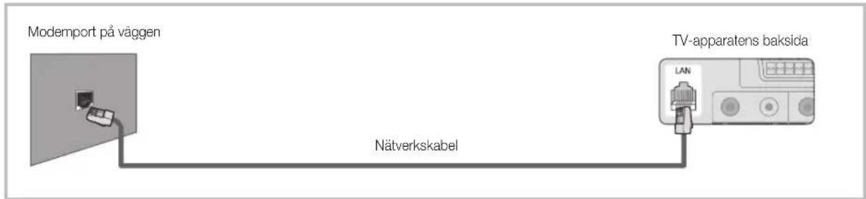 Modemport på väggen Nätverkskabel TV-apparatens baksida LAN