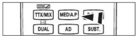 TTX/MIX MEDIA.P DUAL AD SUBT.