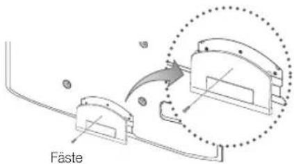 Fäste