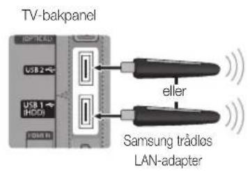 TV-bakpanel USB 2 USB 1 (HDD) GAM R eller Samsung triådlos LAN-adapter