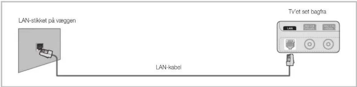 LAN-stikket på væggen LAN-kabel Tv'et set bagfra