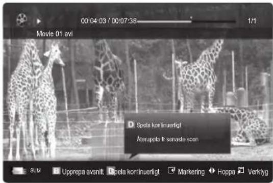 00:04:03 / 00:07:38 Movie 01 avi Spela kontinuerligt. Akerupala fr servaste scen SUM Upprepa avsnitt Spela kontinuerligt Marketing Hoppa Verklyg