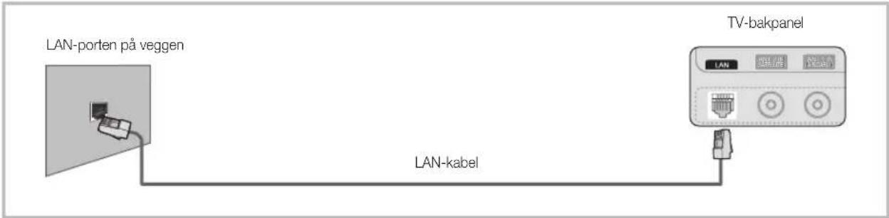 LAN-porten på veggen LAN-kabel TV-bakpanel
