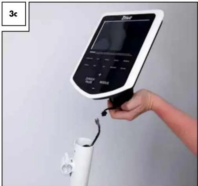 3c Blink JUNQUIN PULSE MASCULI