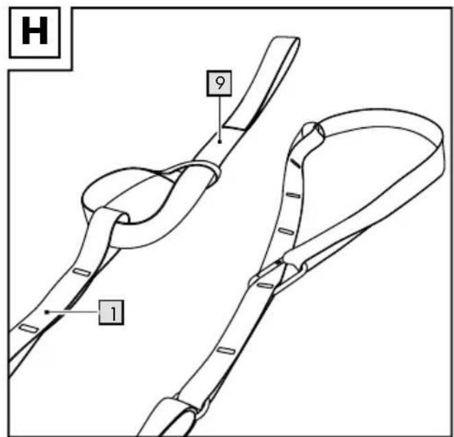 H 9 1