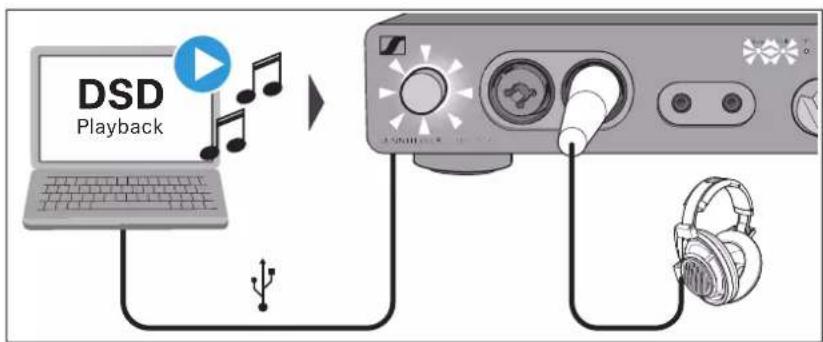 SENNHEISER HDV 820 - Henvisninger vedrørende DSD-afspilningen - 2