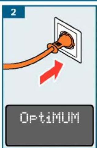 2 Optimum