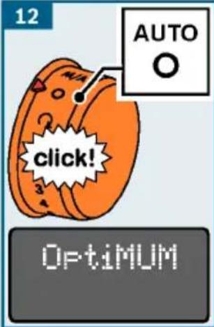 12 AUTO click! Optimum
