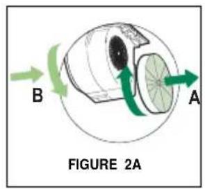 B A FIGURE 2A
