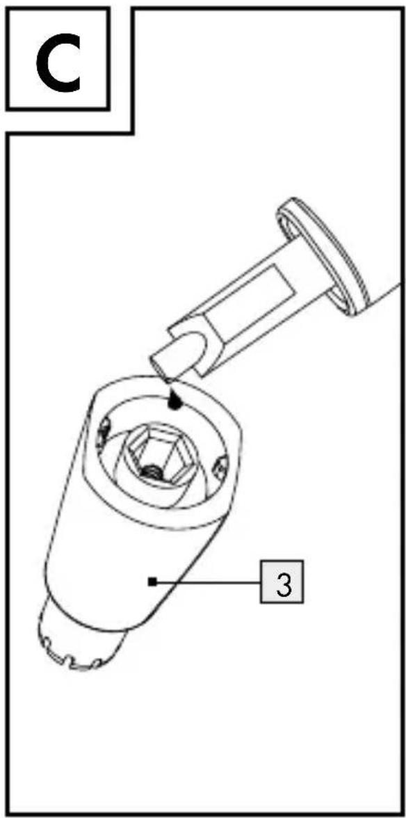 C 3