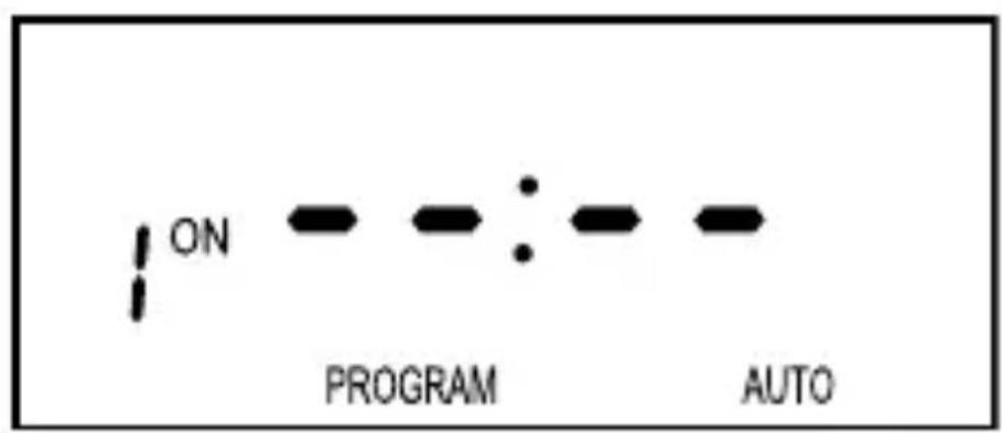 ON PROGRAM : AUTO
