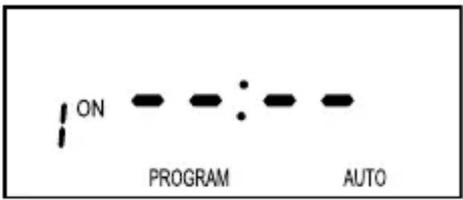 ON PROGRAM AUTO