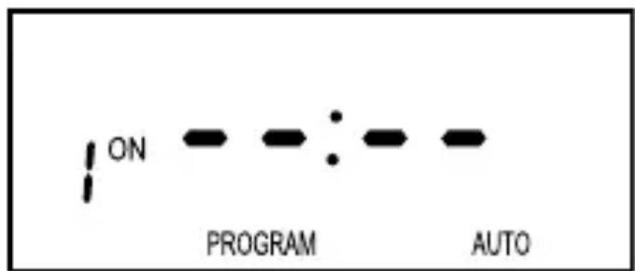 ON PROGRAM : AUTO