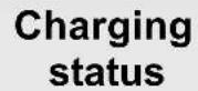 PANASONIC Lumix DMW-BTC15 - ■ [CHARGE] Light Indications - 1
