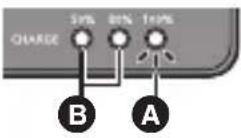 PANASONIC Lumix DMW-BTC15 - ■ [CHARGE] Light Indications - 4