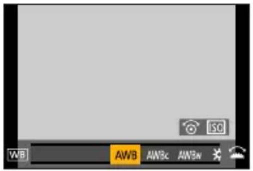 PANASONIC Lumix DC-G100 - Indstil [Km-hjul funktion] til Fn-knappen. (→294) - 2