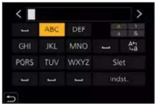PANASONIC Lumix DC-G100 - Indtast tegn. - 1