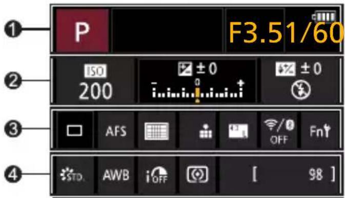 PANASONIC Lumix DC-G100 - Skærmens optageinformationsskærm - 1