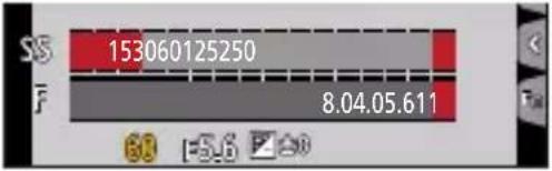 PANASONIC Lumix DC-G100 - Menuen [Bruger] → [kærm/Visning] - 1