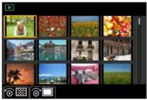 PANASONIC Lumix DC-G100 - Skift til miniaturevisning. - 2