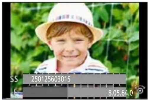 PANASONIC Lumix DC-G100 - Indstilling af lysstyrke - 2