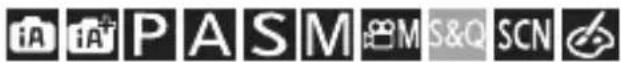 PANASONIC Lumix DC-G100 - [Indbygget mikrofon] - 1