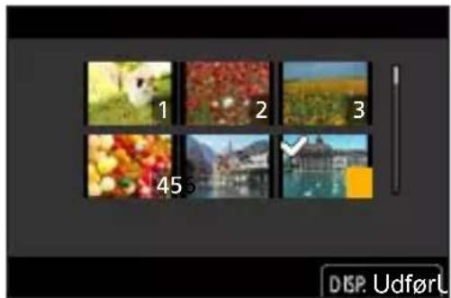 PANASONIC Lumix DC-G100 - [Vælge flere] indstilling - 1
