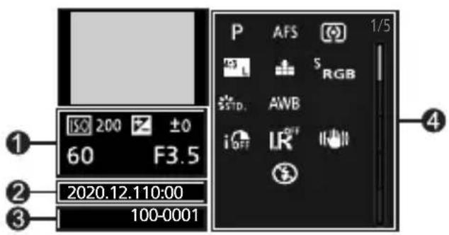 PANASONIC Lumix DC-G100 - Afspilningsskærm - 3