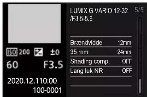 PANASONIC Lumix DC-G100 - Afspilningsskærm - 7