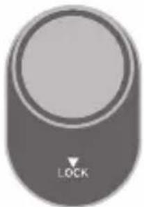 PANASONIC Lumix DC-G100 - Start optagelsen. - 13