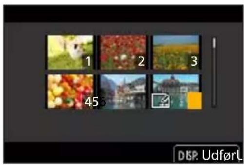 PANASONIC Lumix DC-G100 - Sådan vælger du et eller flere billeder i menuen [Afspil] - 2