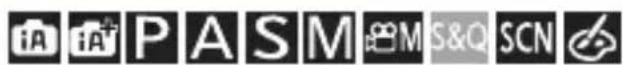 PANASONIC Lumix DC-G100 - [Indbygget Mic indikator] - 1
