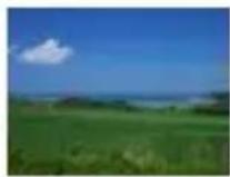 PANASONIC Lumix DC-G100 - 2:[Silkeglat hud] - 2