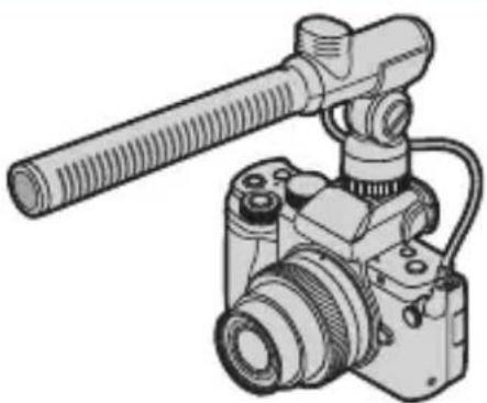 PANASONIC Lumix DC-G100 - Eksterne mikrofoner (ekstraudstyr) - 1