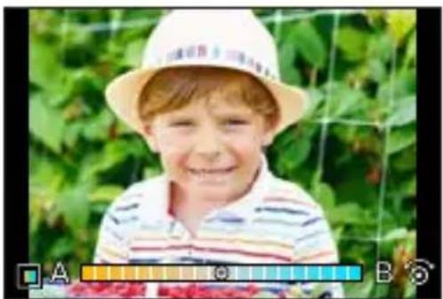 PANASONIC Lumix DC-G100 - Indstilling af farver - 1
