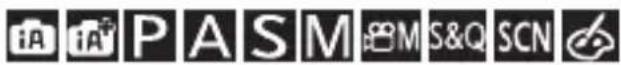 PANASONIC Lumix DC-G100 - Selvoptagelsestilstand ([Selvoptagelse]) - 1