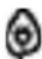 DELONGHI PrimaDonna Class ECAM 550.65.SB - Energibesparing - 1