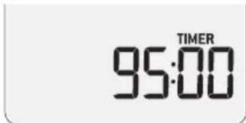 TIMER 95:00