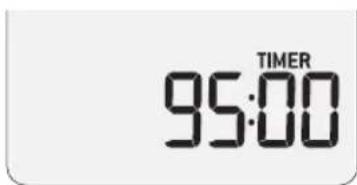 95:00 TIMER