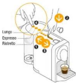 Lungo Espresso Ristretto
