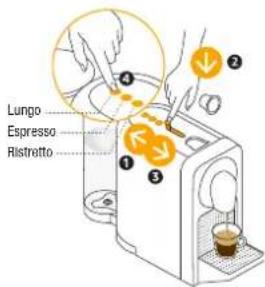 Lungo Espresso Ristretto