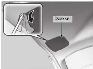 Dæksel