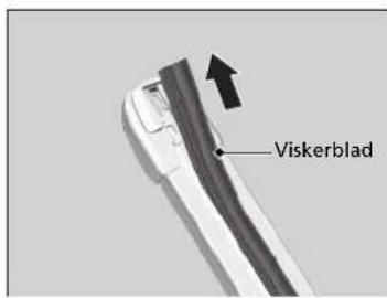 Viskerblad