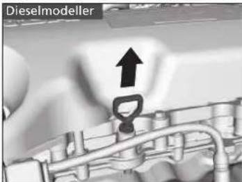 Dieselmodeller