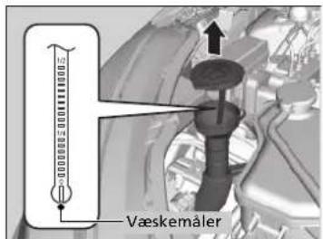 Vaskemåler