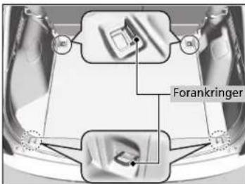 Forankringer