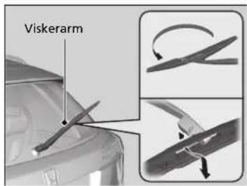 Viskerarm